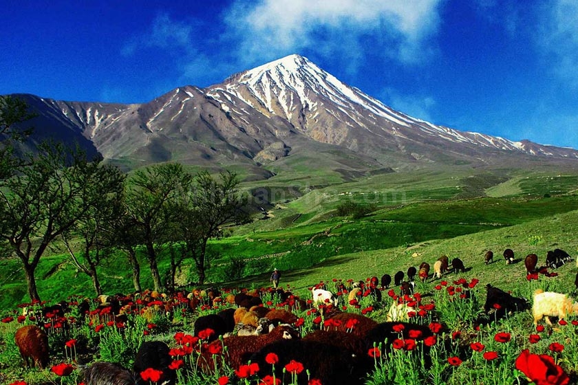 تور طبیعت گردی و گردشگری چیاکو در شاهرود