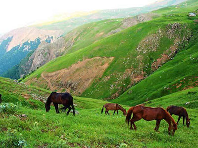 تور سوارکاری لیسار تا سوباتان